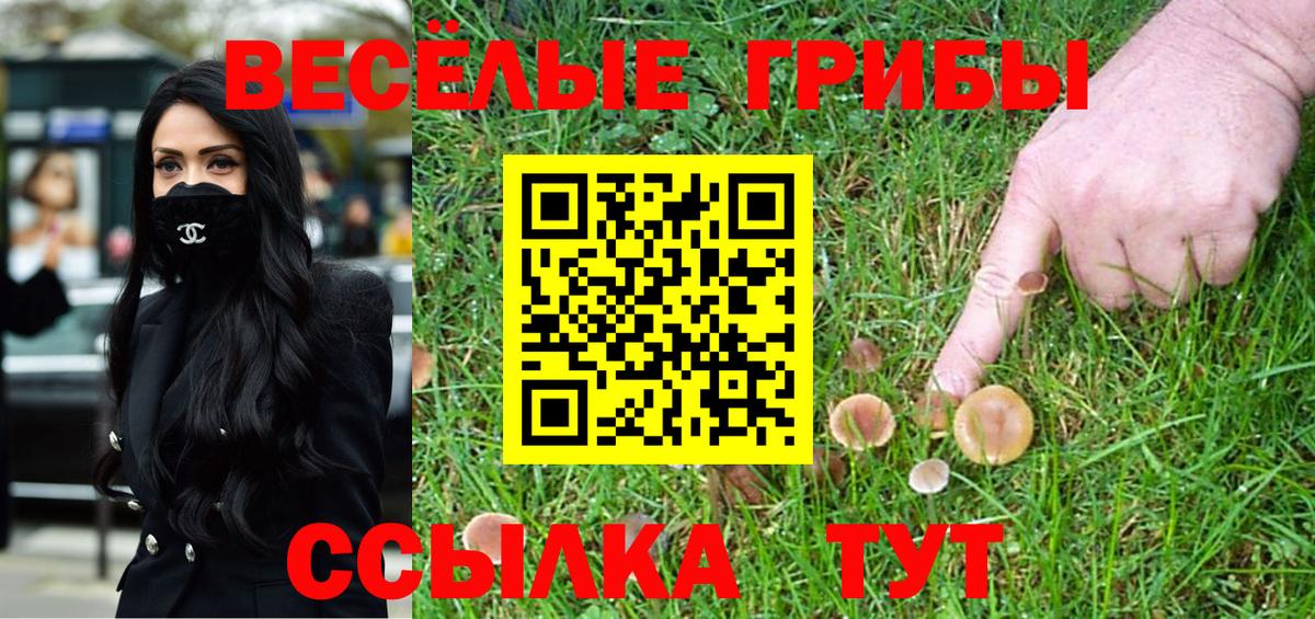Волоколамск  Псилоцибиновые грибы Cubensis  Вход с VPN  Псилоцибиновые грибы Cubensis 